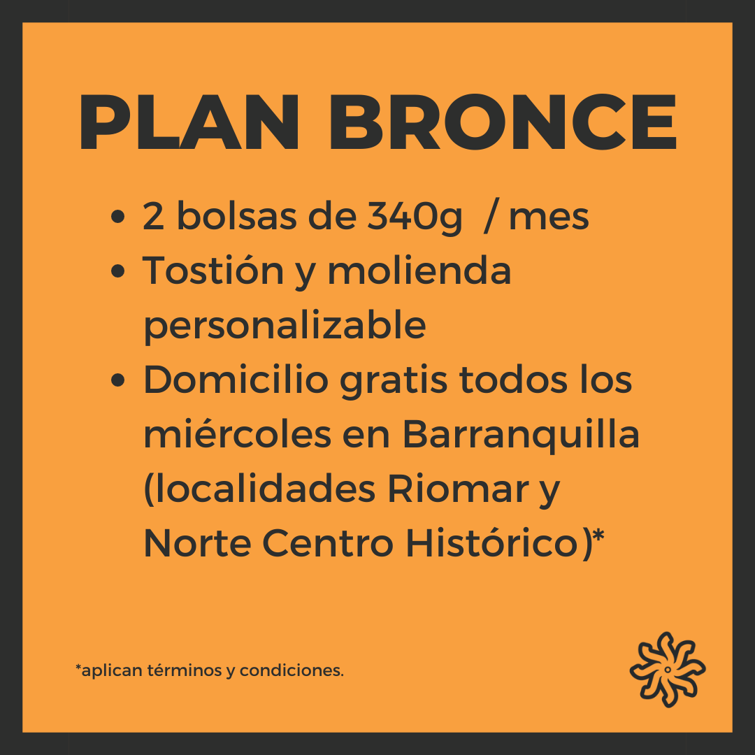 PLAN BRONCE