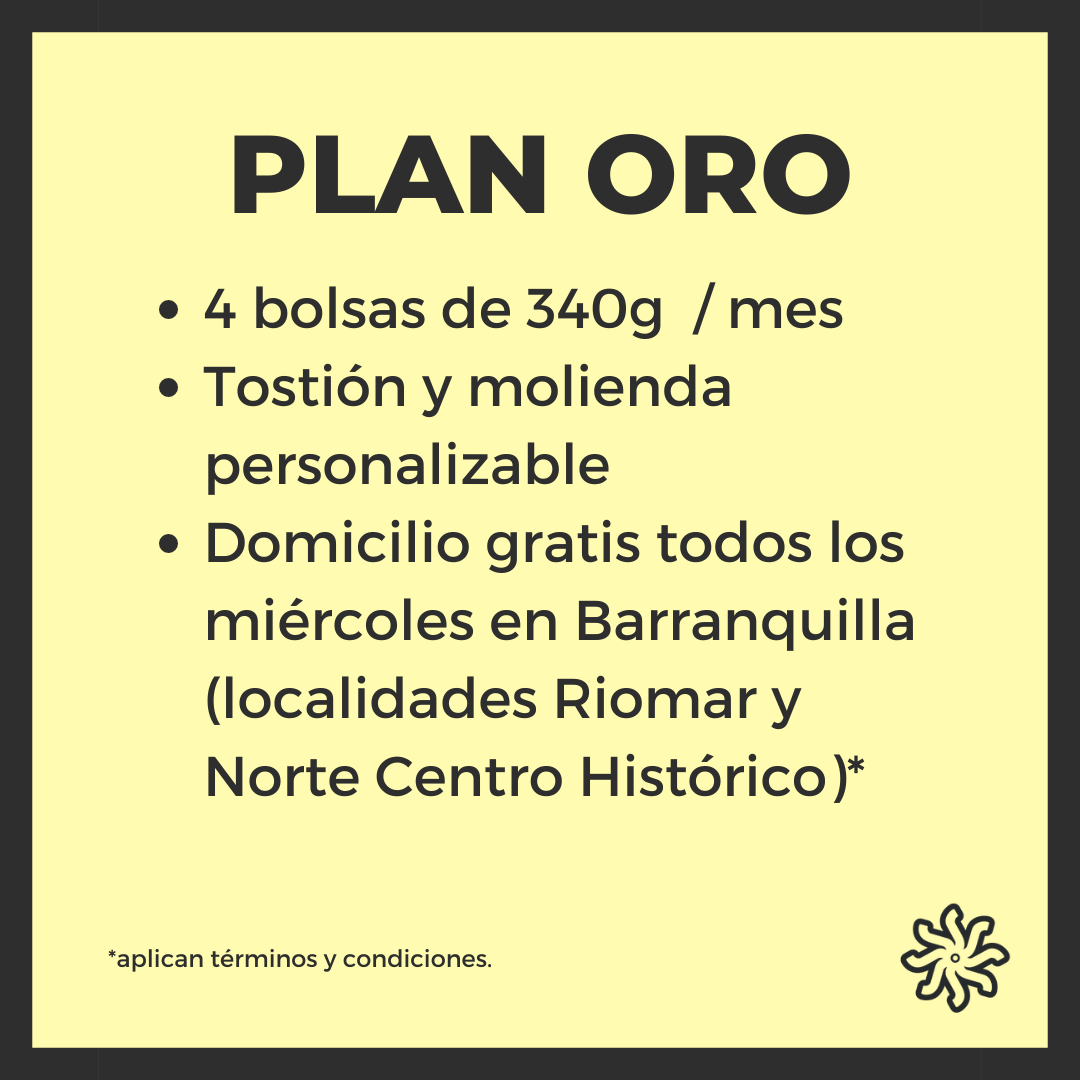 PLAN ORO